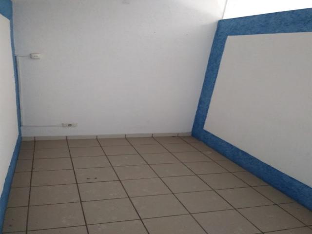 Casa para Locação em São Paulo - 5