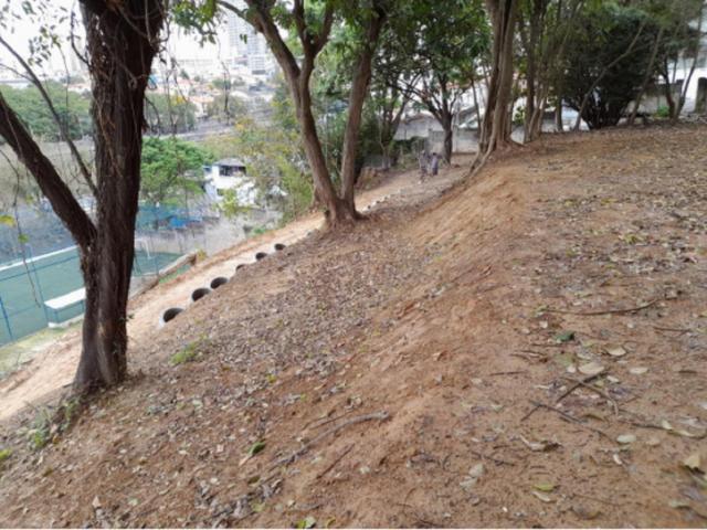 #CMI6177 - Terreno para Venda em São Paulo - SP - 1