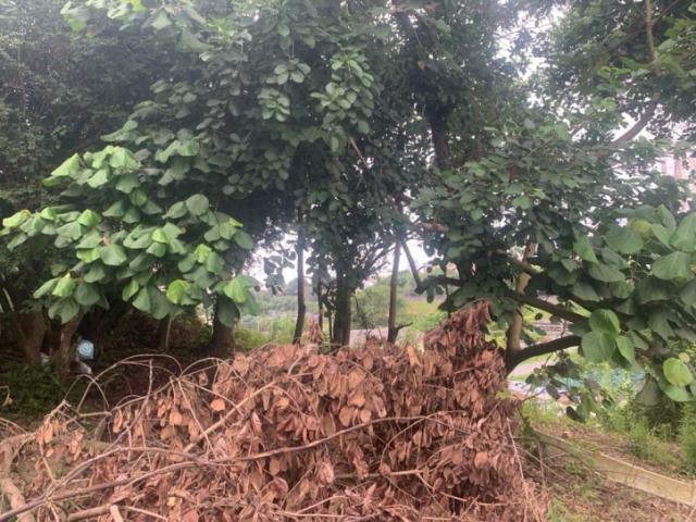 #CMI6177 - Terreno para Venda em São Paulo - SP - 3