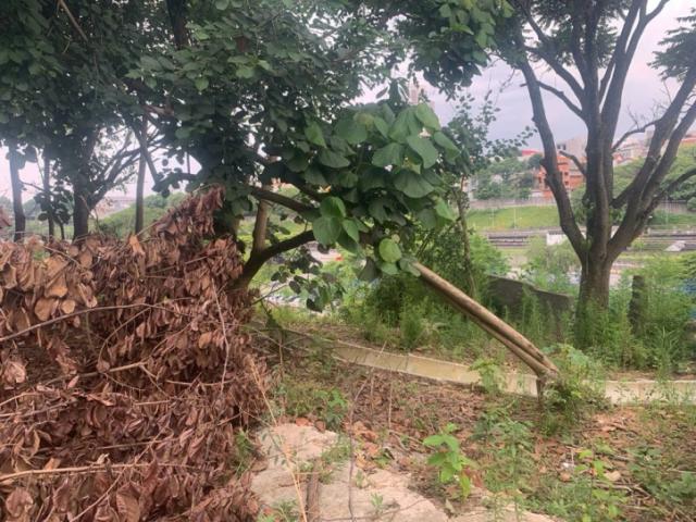 Terreno para Venda em São Paulo - 4