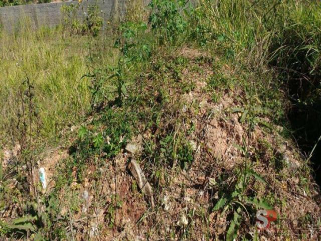 #DG4394 - Terreno para Venda em São Paulo - SP - 1