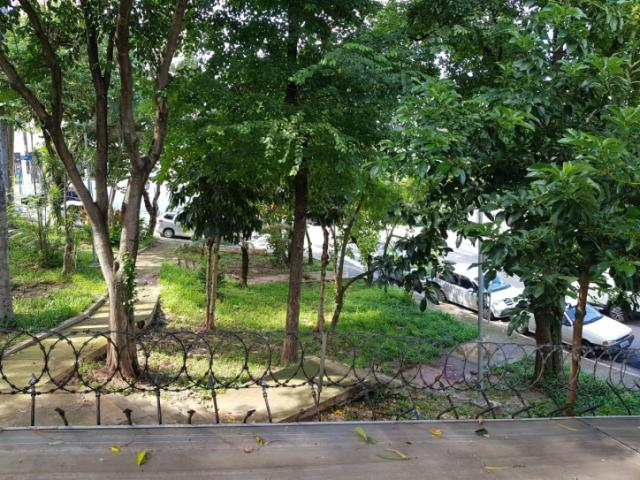 Casa para Locação em São Paulo - 5