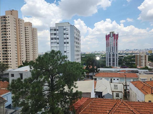 #CMI6506 - Conjunto Comercial para Locação em São Paulo - SP - 3
