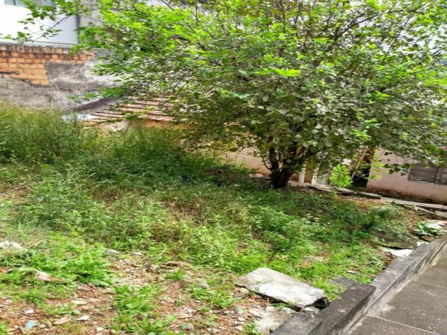 Terreno para Venda em São Paulo - 4