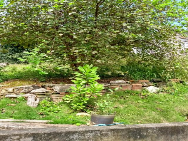Terreno para Venda em São Paulo - 5